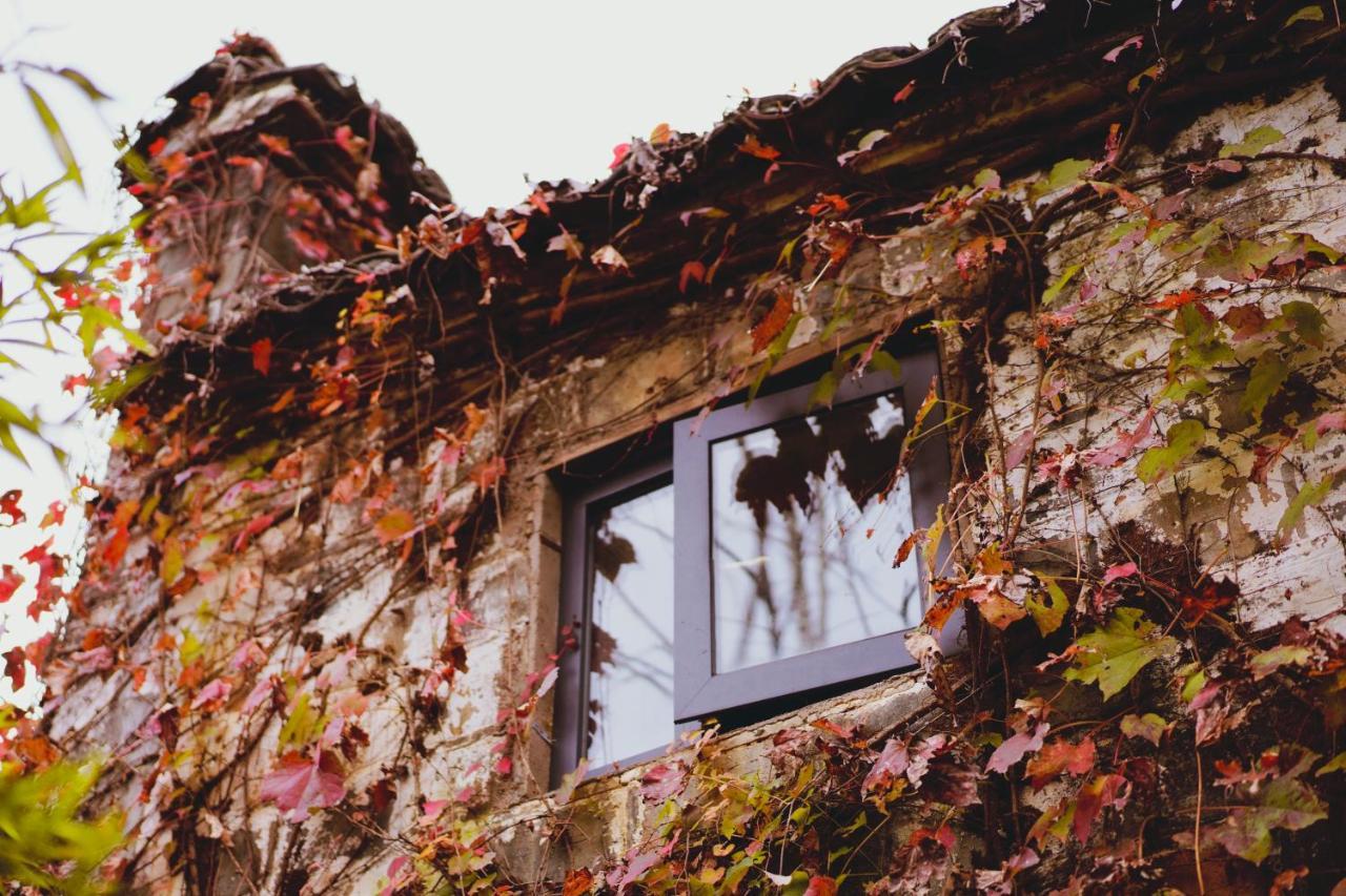 Wuyuan Qiye Yanxiang Guesthouse Zewnętrze zdjęcie